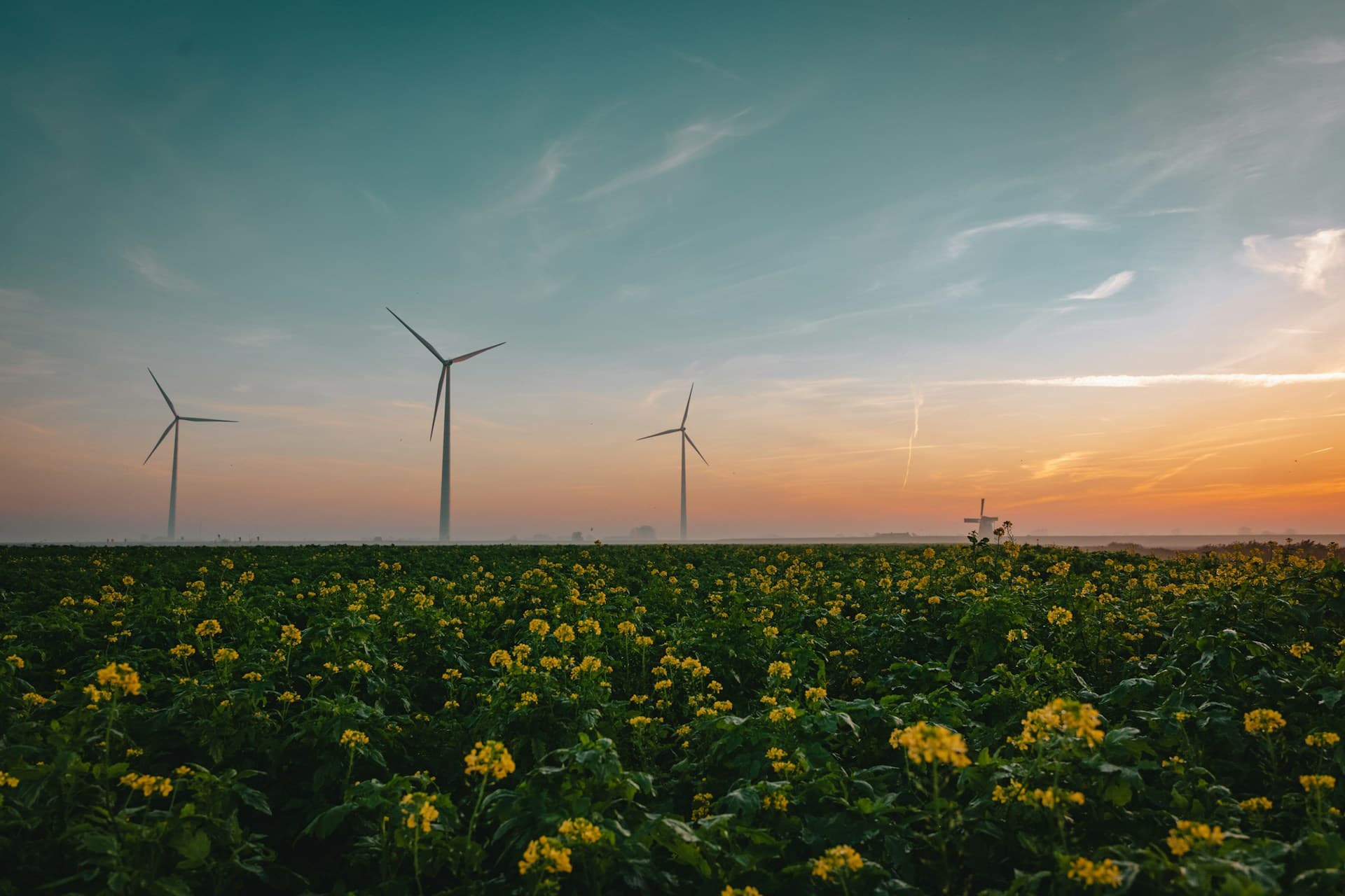 The High Cost of "Free" Energy: Why Precision is the Real Currency of the Transition