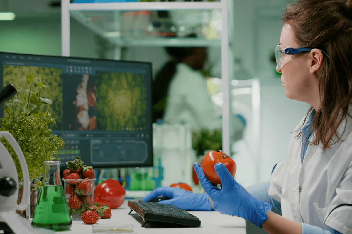 food-quality-control